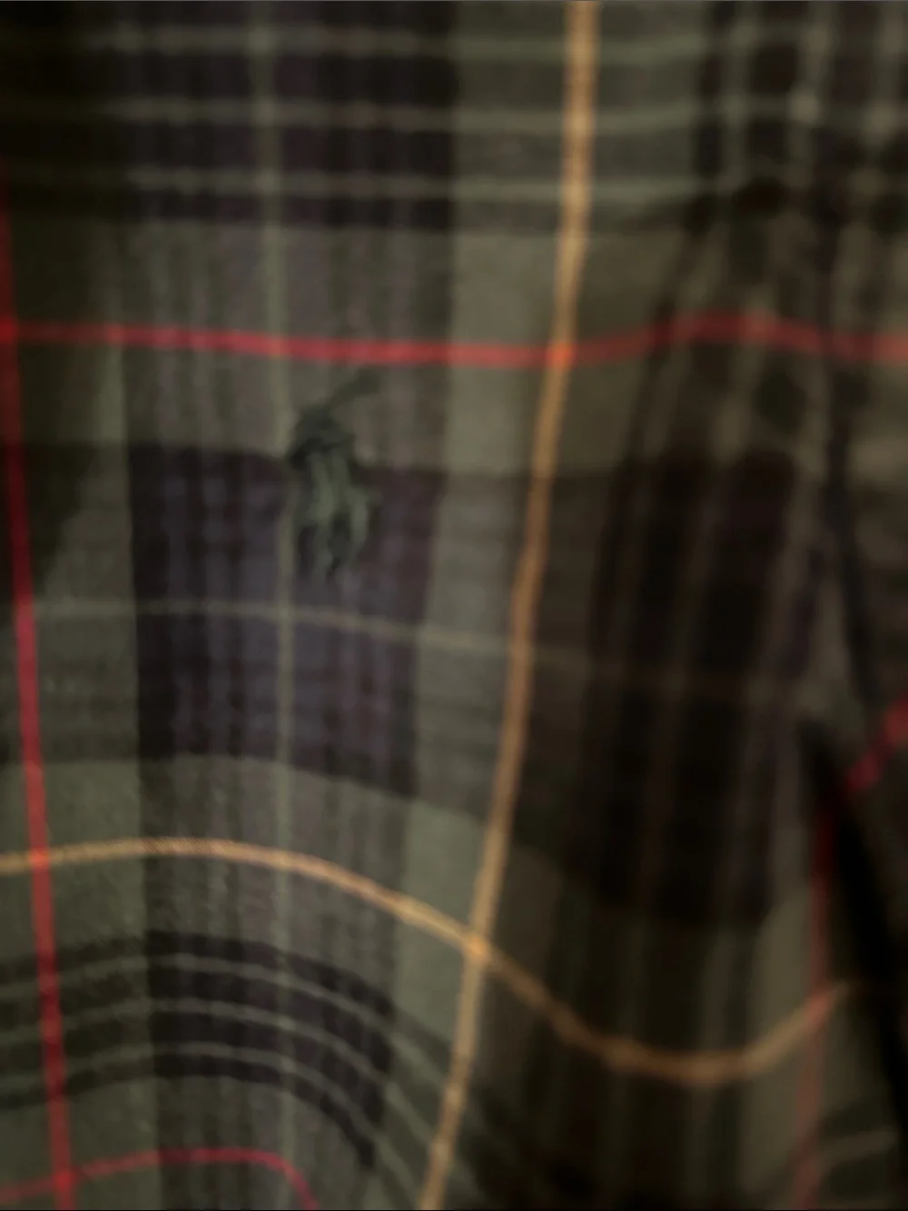 Boys Green Plaid Button-Down Shirt - Classic Long Sleeve by Ralph Lauren